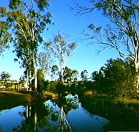 Dingo Creek Park - Inverell Accommodation