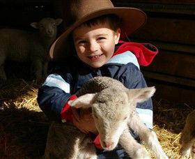 Warrook Farm - Inverell Accommodation 1