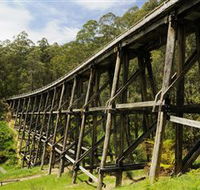 Noojee Trestle Bridge - Inverell Accommodation