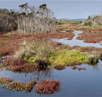 French Island National Park - Inverell Accommodation