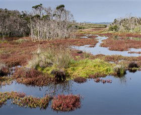 French Island National Park - Inverell Accommodation 0