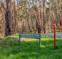 Lobs Hole Ravine 4WD Trail - Inverell Accommodation