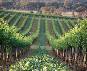 Two Rivers Wines - Inverell Accommodation 1