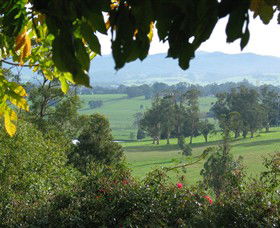 Brandy Creek Wines & View Cafe - Inverell Accommodation 5