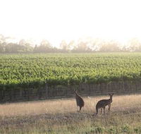 Small Forest Wine - Inverell Accommodation