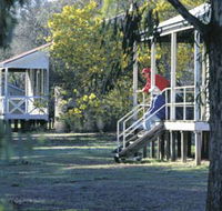 Dryandra Woodland - Inverell Accommodation