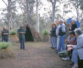 Dryandra Woodland - Inverell Accommodation 2