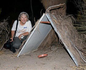 Barna Mia Native Animal Sanctuary - Inverell Accommodation 3