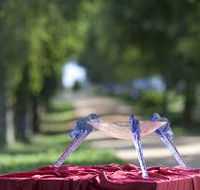 Lillico Glass Studio - Inverell Accommodation