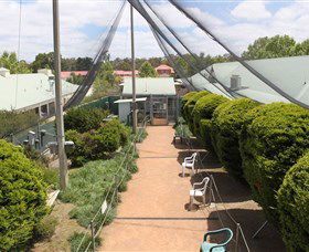 Canberra Walk In Aviary - Inverell Accommodation 2