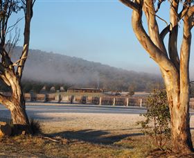 Savina Lane Premum Wines - Inverell Accommodation 0