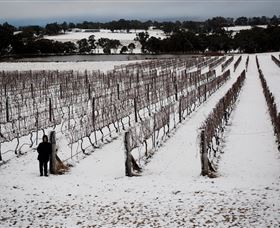 Savina Lane Premum Wines - Inverell Accommodation 2