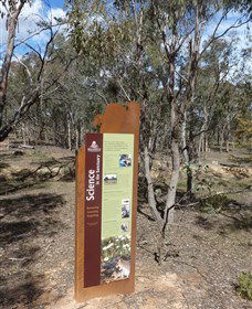 Mulligans Flat - Inverell Accommodation 1