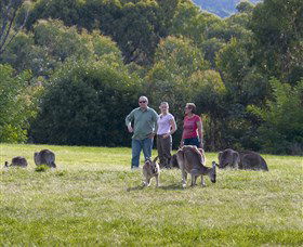 Tidbinbilla - Inverell Accommodation 1