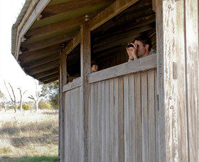 Dangars Lagoon And Racecourse Lagoon - Inverell Accommodation 2