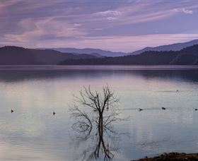 Scone NSW Inverell Accommodation