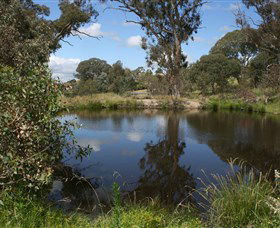 Cooleman Ridge - Inverell Accommodation 0
