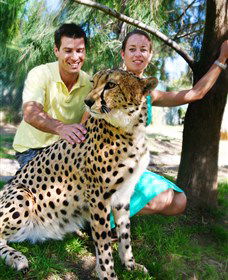 National Zoo & Aquarium - Inverell Accommodation 0