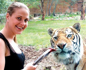 National Zoo & Aquarium - Inverell Accommodation 1