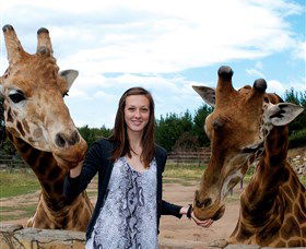 National Zoo & Aquarium - Inverell Accommodation 2