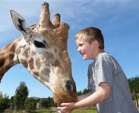 National Zoo & Aquarium - Inverell Accommodation 3