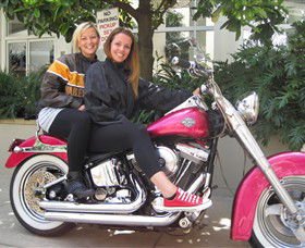 Wild Ride Harley And Motorcycle Tours - Inverell Accommodation 0