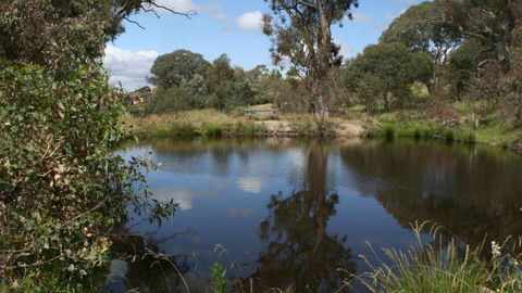 Cooleman Ridge - Inverell Accommodation 3