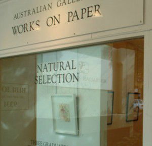 Australian Galleries - Roylston Street - Inverell Accommodation 1