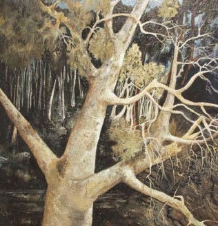 Birrong NSW Inverell Accommodation