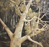 Ku-Ring-Gai Art Centre  Gallery - Inverell Accommodation
