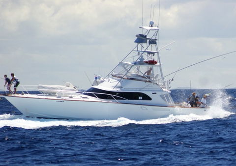 Amokura Charters - Inverell Accommodation 2