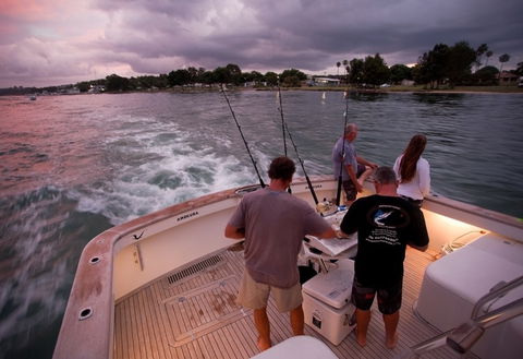 Amokura Charters - Inverell Accommodation 3