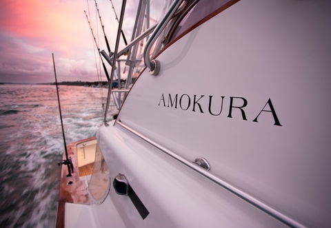 Amokura Charters - Inverell Accommodation 4