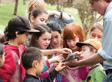 Blackbutt Reserve - Inverell Accommodation 2
