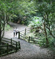 Blackbutt Reserve - Inverell Accommodation 3