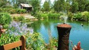 Gone Walkabout Safaris - Inverell Accommodation 0
