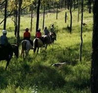 Hunter Valley Horse Riding and Adventures - Inverell Accommodation