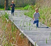 Hunter Wetlands Centre Australia - Inverell Accommodation 1