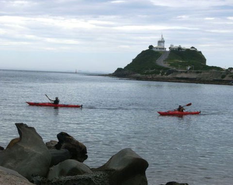 Newcastle Kayak Tours - Inverell Accommodation 0