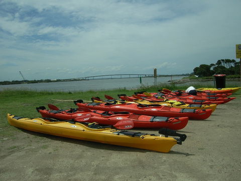 Newcastle Kayak Tours - Inverell Accommodation 2
