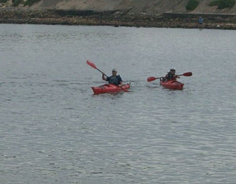 Newcastle Kayak Tours - Inverell Accommodation 4