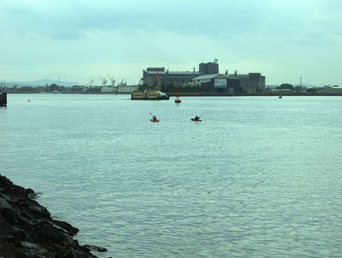 Newcastle Kayak Tours - Inverell Accommodation 5