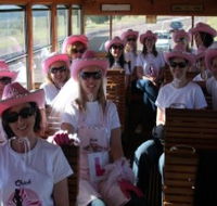 Newcastles Famous Tram - Inverell Accommodation