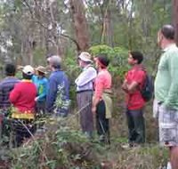 Boronia Tours - Inverell Accommodation