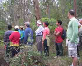 Boronia Tours - Inverell Accommodation 0