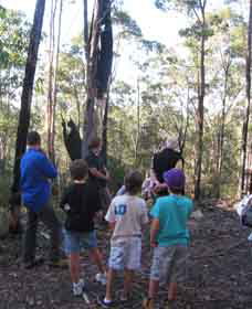 Boronia Tours - Inverell Accommodation 1