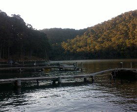 Church Point Ferry Service - Inverell Accommodation 5