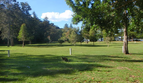 The Basin Picnic Area - Inverell Accommodation 1