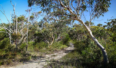 Aboriginal Heritage Walk - Inverell Accommodation 2