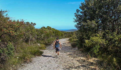 Aboriginal Heritage Walk - Inverell Accommodation 3